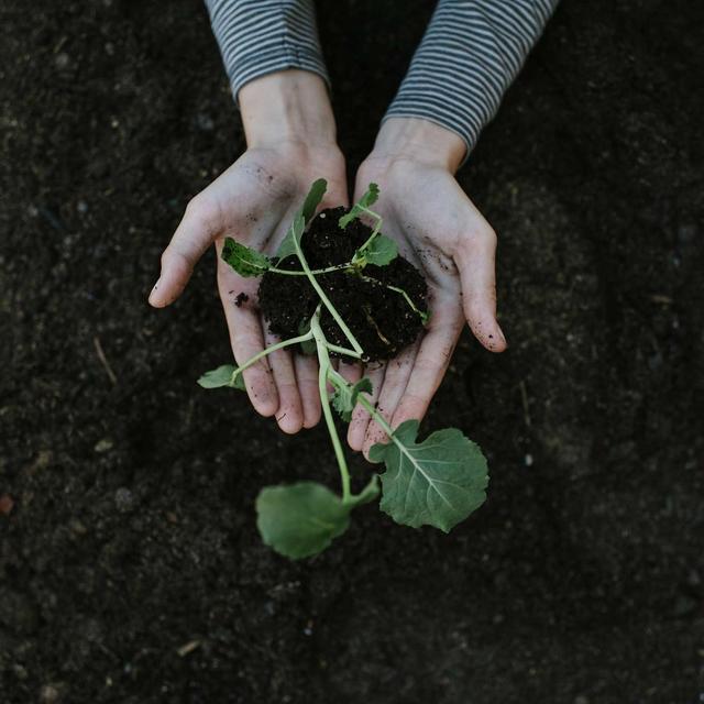 Episode 33: Practical Tips for Natural Learning - podcast episode cover