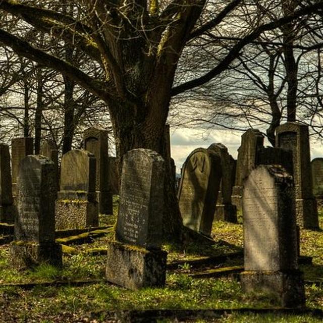 Jews Have No Future in the Diaspora Anymore - Returning Home - podcast episode cover