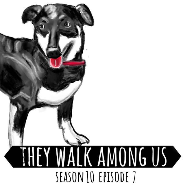 Death Is No Stranger To Me / The Murder Of Jack Russell - podcast episode cover