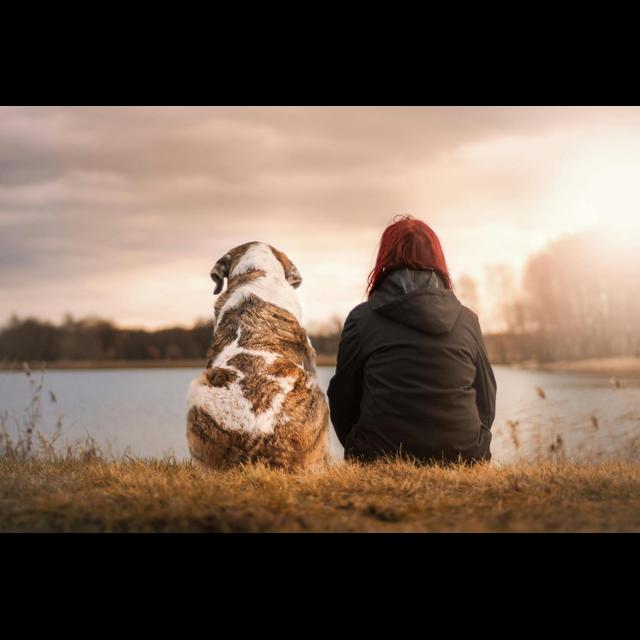 #11: What do you feed your pets? - podcast episode cover