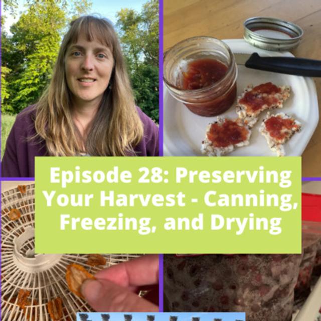 Preserving Your Harvest -- Canning, Freezing, and Drying - podcast episode cover