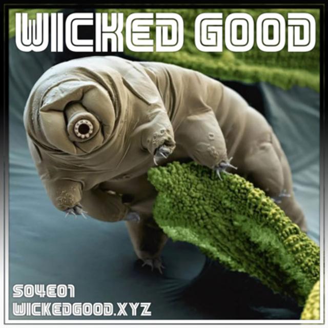 S04E01 | Tardigrade Tweets Using A Brain Implant - podcast episode cover