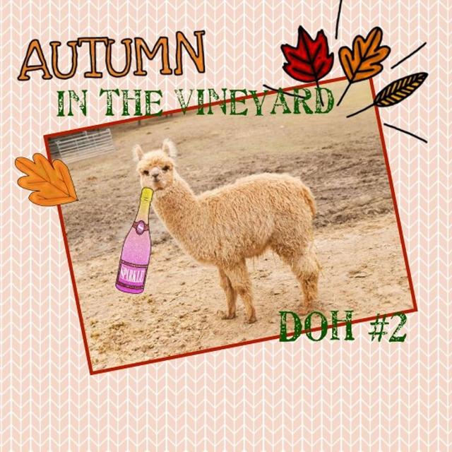 Autumn in the Vineyard - podcast episode cover