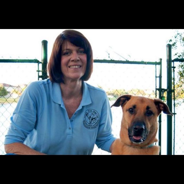 Episode 292 - How an Aggressive Dog Inspired Katie Casell to Become Miami's Premier Force-Free Dog Trainer - podcast episode cover