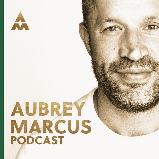 Marc Gafni Challenges Yuval Harari - podcast episode cover