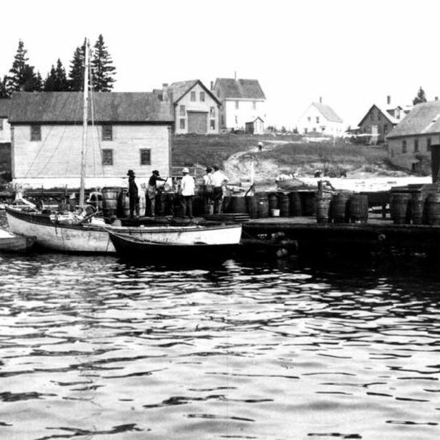 On Gentrification in Maine - podcast episode cover