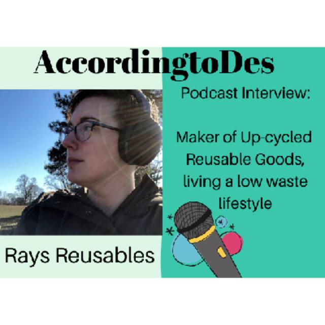 12. Interviewing Rays Reusables, A maker of upcycled reusable goods - podcast episode cover