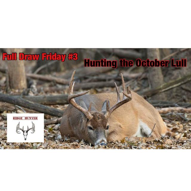 Full Draw Friday #3 | October Lull - podcast episode cover