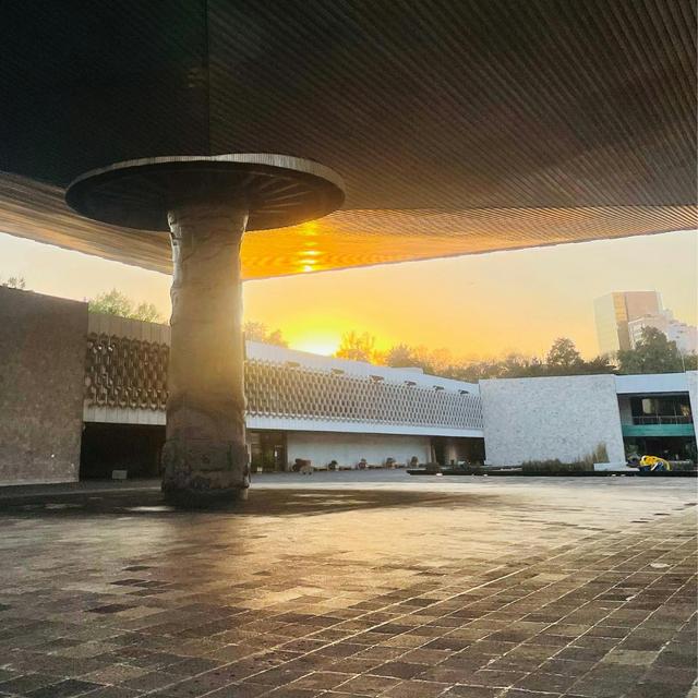ArtCurious Virtual Vacation: Mexico City's Museums - podcast episode cover