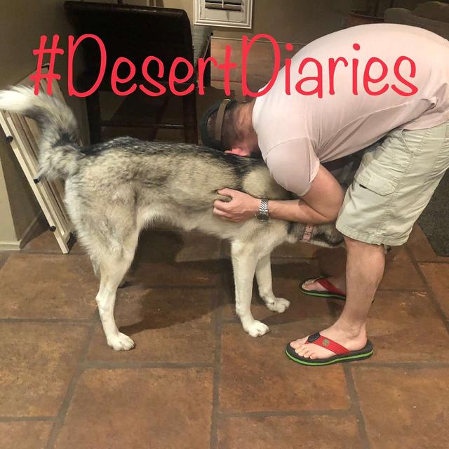 Week three: Overpriced tea and the pets jet in! - podcast episode cover