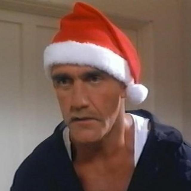 Episode #14 - Santa With Muscles and Jack Frost 2: Revenge of the Mutant Killer Snowman - podcast episode cover