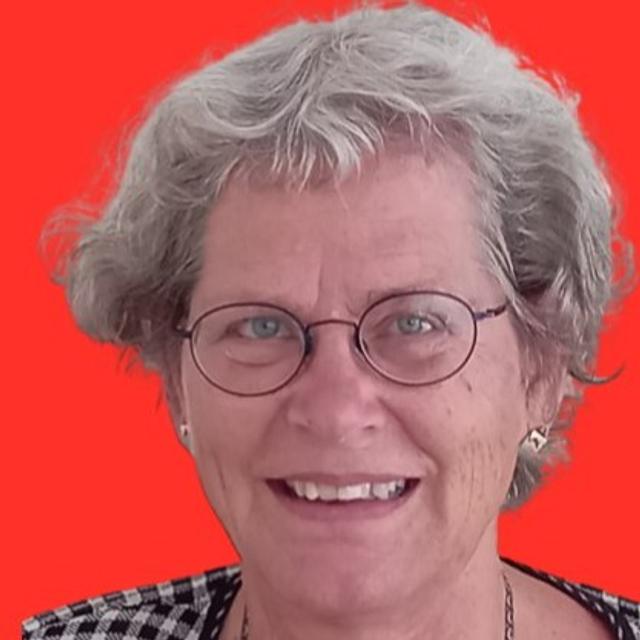 General Movements and Standardized Infant NeuroDevelopmental Assessments | Mijna Hadders-Algra | DMCN - podcast episode cover