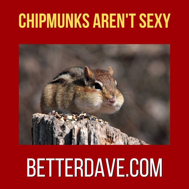 Chipmunks Aren't Sexy - podcast episode cover