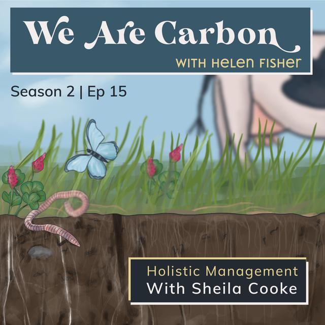 Holistic Management - Transitioning Mindset & Farming. With Sheila Cooke [3LM Savory Network UK] - podcast episode cover