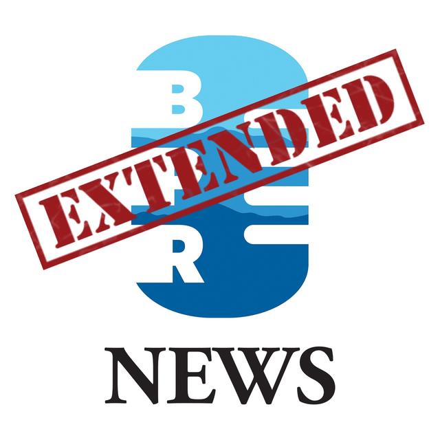 Revolution Calling: How does someone find and buy NFT art? BPR's Matt Peiken takes steps toward a purchase - podcast episode cover