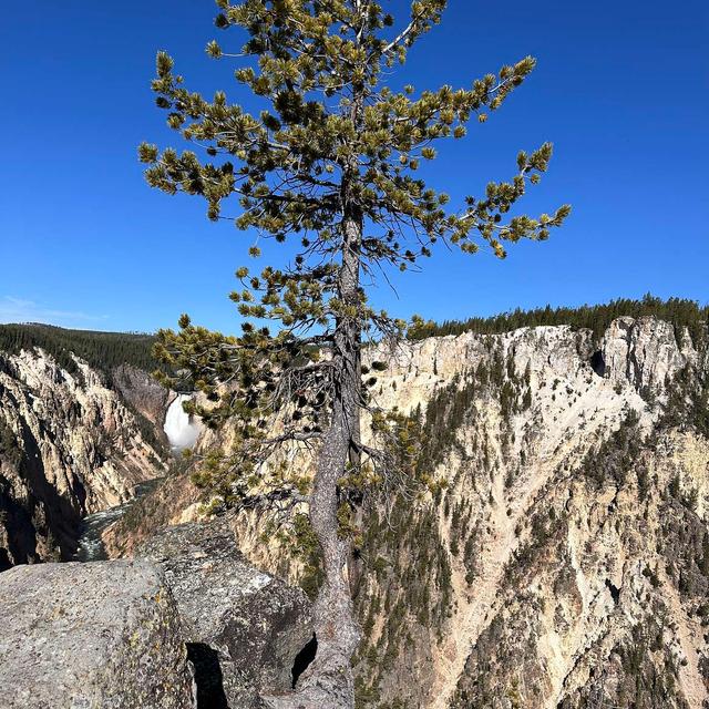 Growing Strong in Hard Places - podcast episode cover