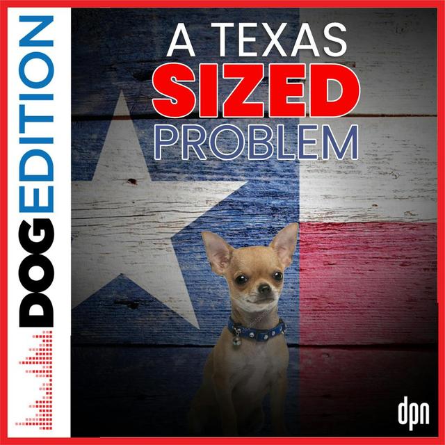 A Texas Sized Problem | Dog Edition #50 - podcast episode cover