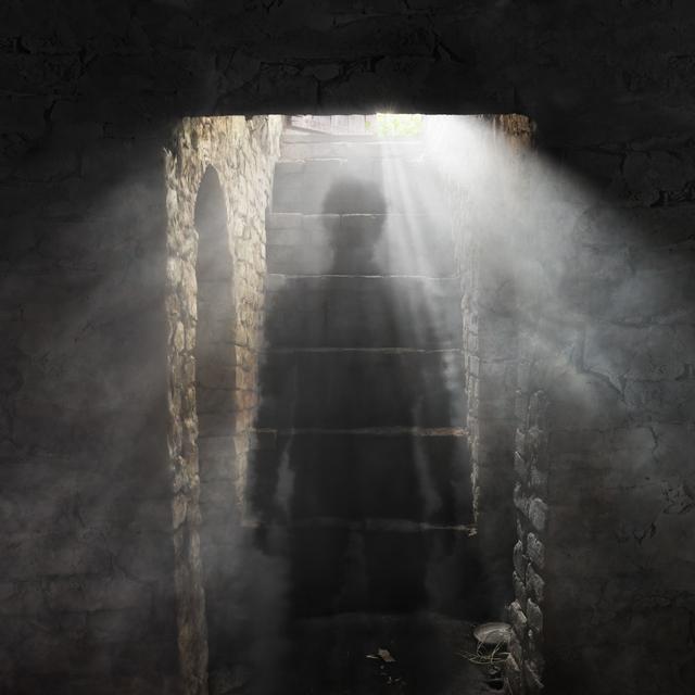 El fantasma de la bodega - podcast episode cover