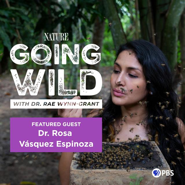 The Invisible Organism That’s Saving the Planet - podcast episode cover