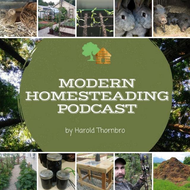 Building A Drought Resilient Homestead - podcast episode cover