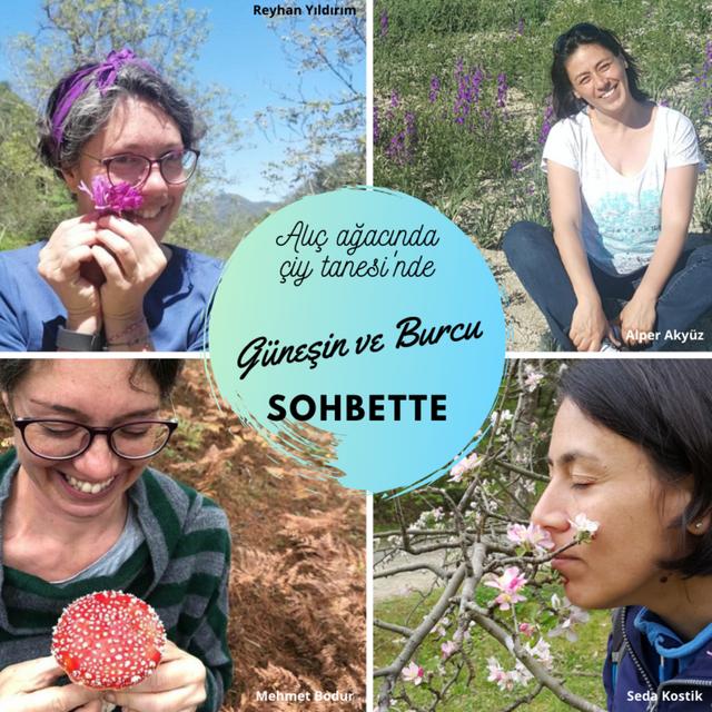 12 - Güneşin ve Burcu sohbette - podcast episode cover