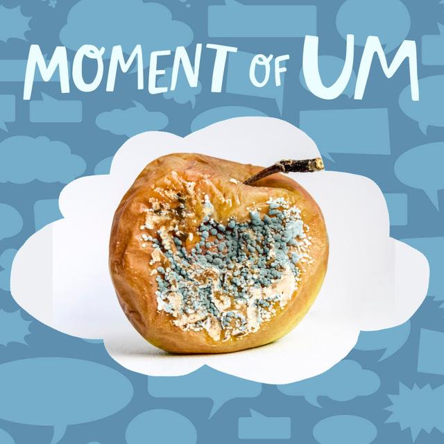 Why does mold have different colors? - podcast episode cover