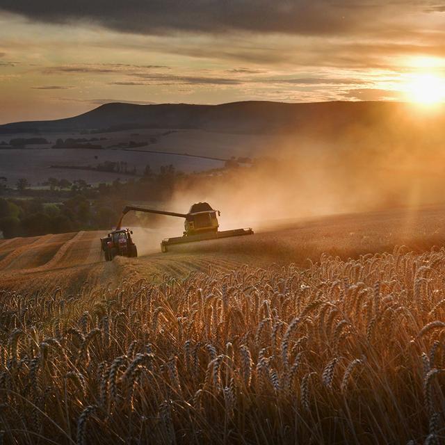 Rabobank’s Outlook for Commodities in 2022 - podcast episode cover