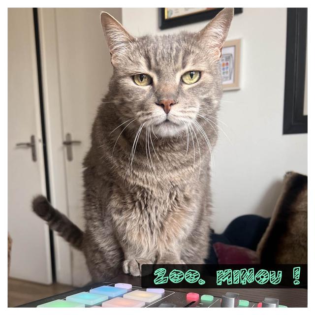Minou ! - podcast episode cover