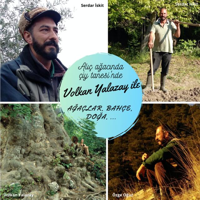 15 - Volkan Yalazay ile Ağaçlar, Bahçe, Doğa - podcast episode cover