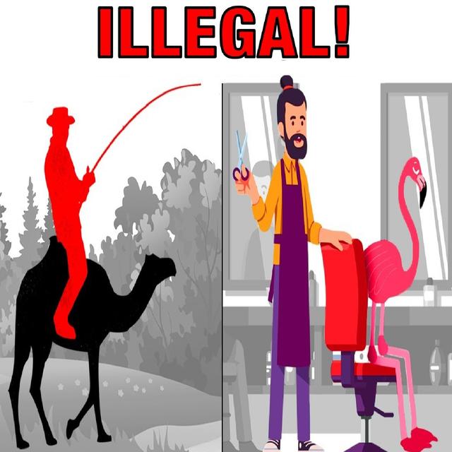 Bizarre Things You Can't Do in America - podcast episode cover