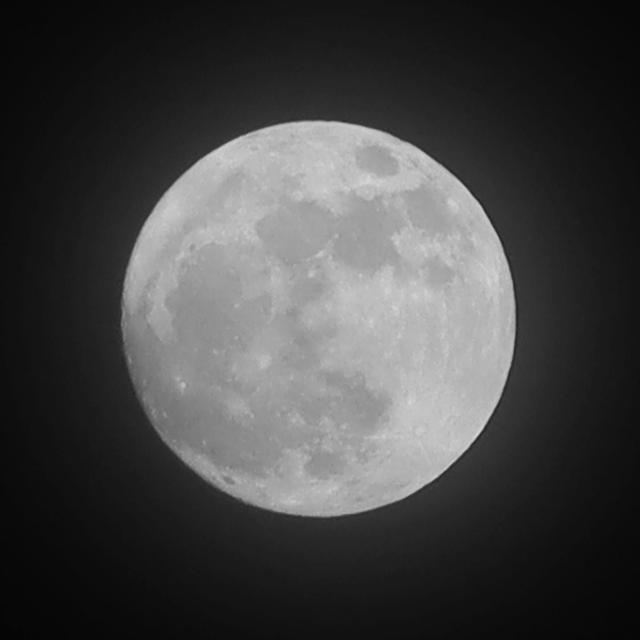 Silvia's Blood and Moon Graffiti - podcast episode cover