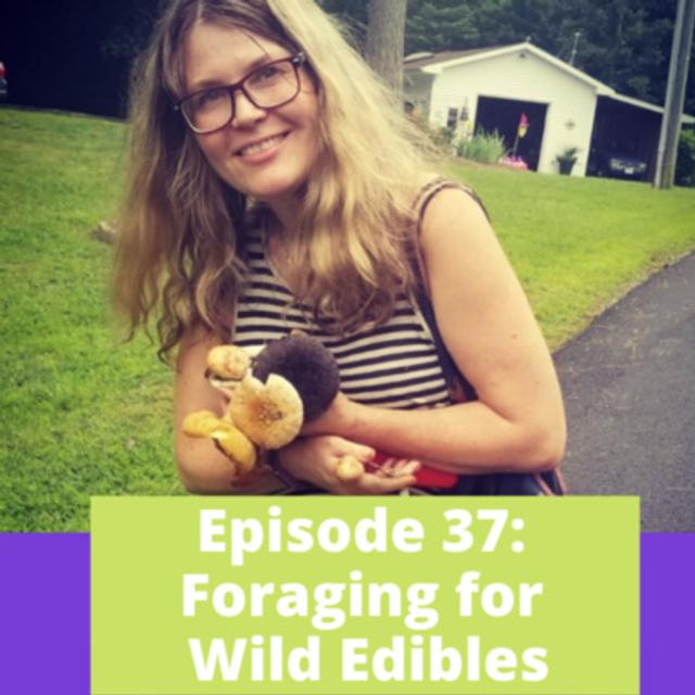 Foraging - podcast episode cover