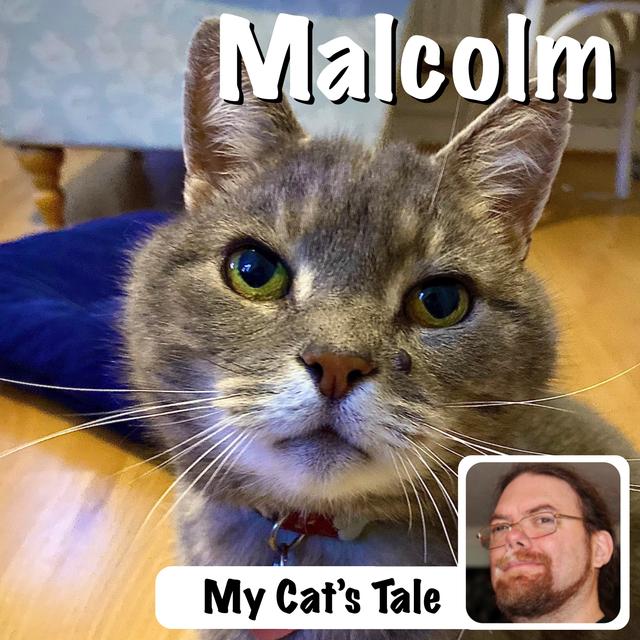 My Cat’s Tale – Malcolm The Cat - podcast episode cover