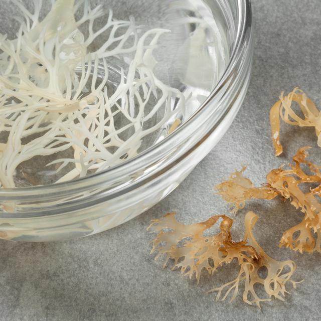 667: The Surprising Benefits of Sea Moss for Skin Health - podcast episode cover
