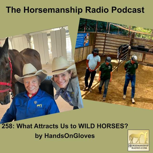 258: What Attracts Us to WILD HORSES? by HandsOnGloves - podcast episode cover