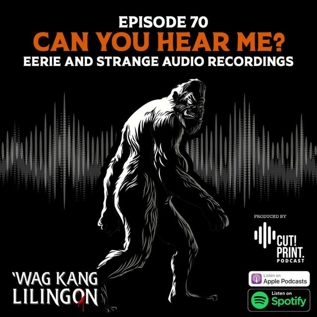 EPISODE 70: Can You Hear Me? - podcast episode cover
