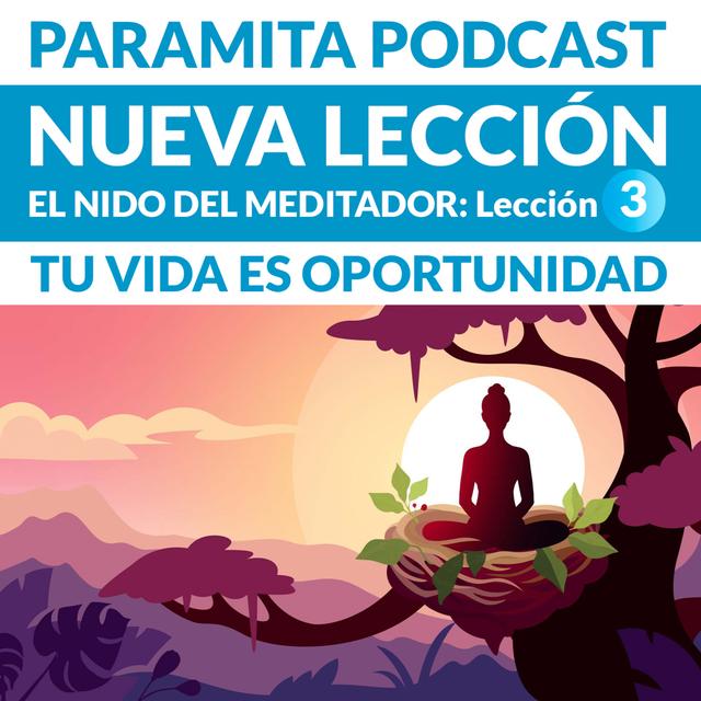 L3 Nido del Meditador - El valor de una vida espiritual - podcast episode cover