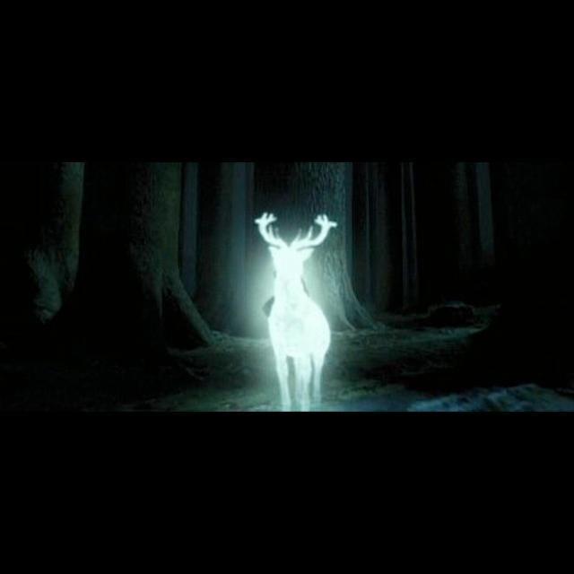 3.11 Prisoner of Azkaban - Wrap Up Discussion with a Special Guest! - podcast episode cover