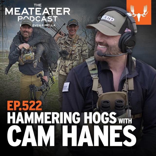 Ep. 522: Hammering Hogs with Cam Hanes - podcast episode cover