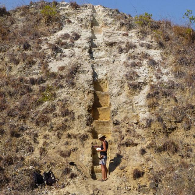 Climate and Diet of Early Humans - podcast episode cover