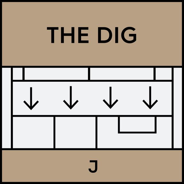 Dig: Emergent Terrain w/ Akbar, Winant, & Riofrancos - podcast episode cover