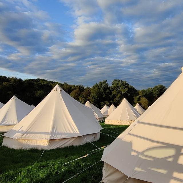 Happy startup school summercamp - what I learned - podcast episode cover