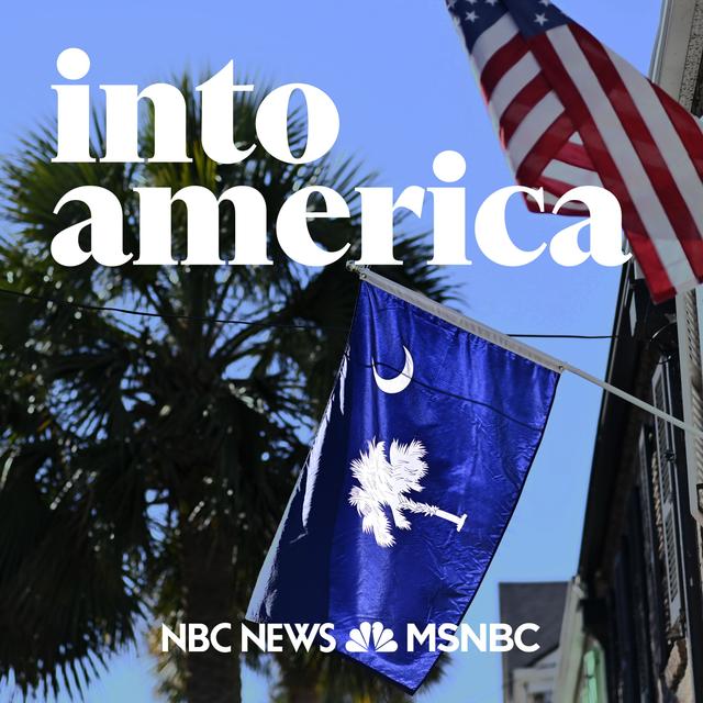 Into the Fight for Lindsey Graham's Seat - podcast episode cover