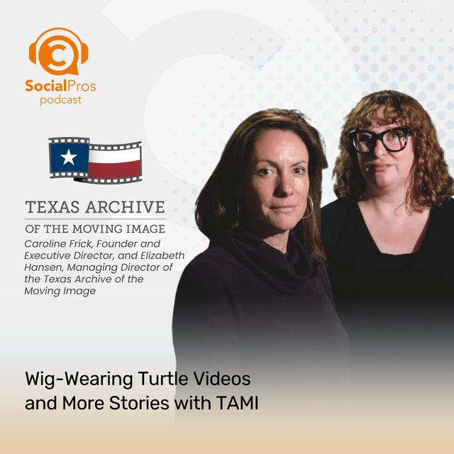 Wig-Wearing Turtle Videos and More Stories with TAMI - podcast episode cover