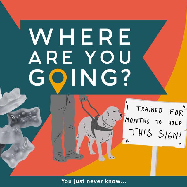Jelly babies, a sign and a guide dog - podcast episode cover