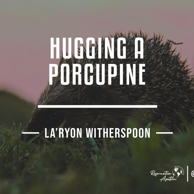 Hugging A Porcupine - podcast episode cover