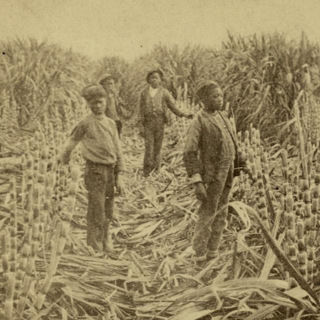 The Land of Our Fathers, Part 1 - podcast episode cover