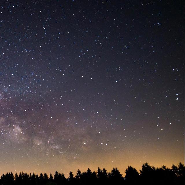 Light Pollution and Its Impacts on Birds and Other Wildlife - podcast episode cover
