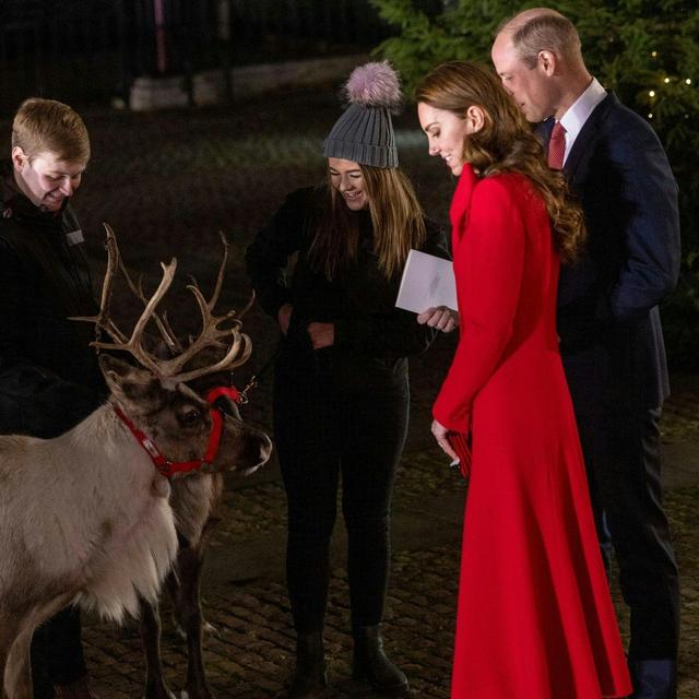 Cambridges' carol concert, Andrew skips Christmas and a Royal 'audio experience' - podcast episode cover