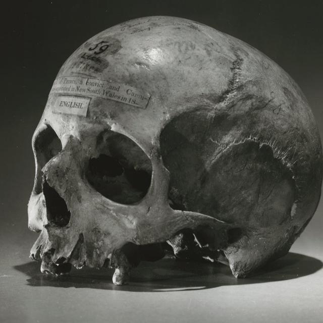 Ep 60 Alexander Pearce - Cannibal Pt 3: Australian History - podcast episode cover